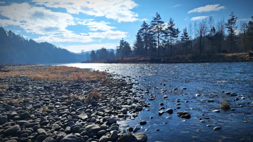 dunajec-pstragi-spinning-wedkarstwo